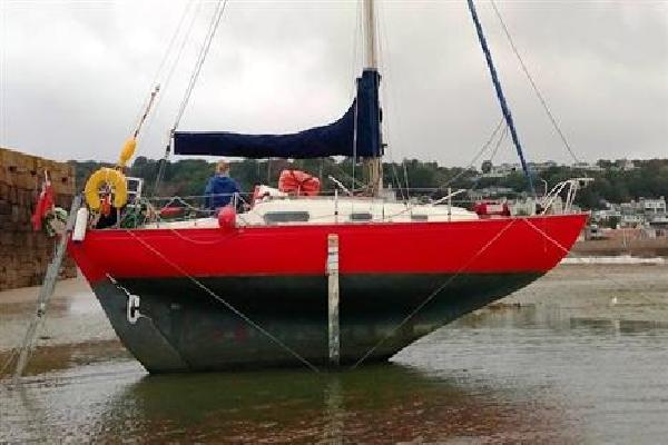 Contessa 26