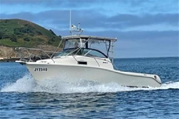 Marin Craft Marlin 29